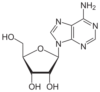 ADENOSINE    >96%