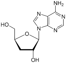 3′-Deoxyadenosine   >97%