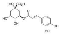 Chlorogenic acid >98%