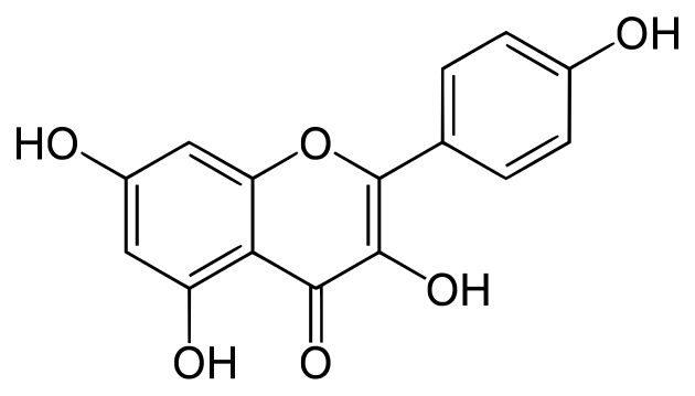 Robigenin   >98%