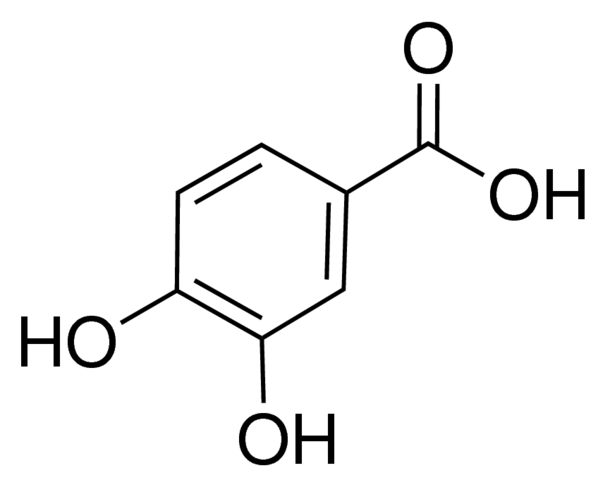 3,4-Dihydroxybenzoic acid     >98%