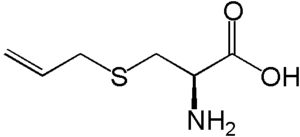 S-allyl-cysteine  >98%