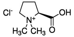 Stachydrine hydrochloride  >98%