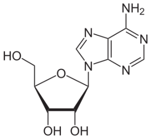 ADENOSINE    >96%