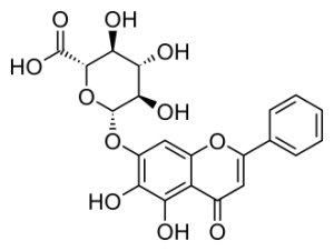 BAICALIN   >98%