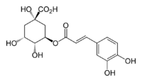 Chlorogenic acid >98%