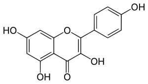 KEAMPFEROL   >98%