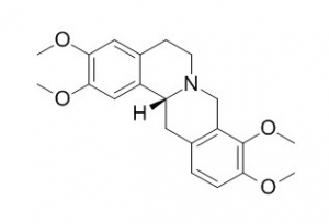  Tetrahydropalmatine    >98%