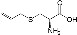 S-allyl-cysteine  >98%