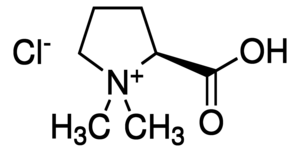 Stachydrine hydrochloride  >98%