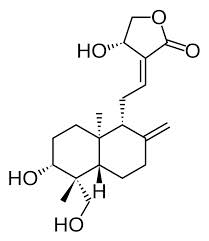 Andrographolide  >97%