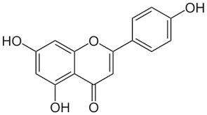 Apigenin   >97%