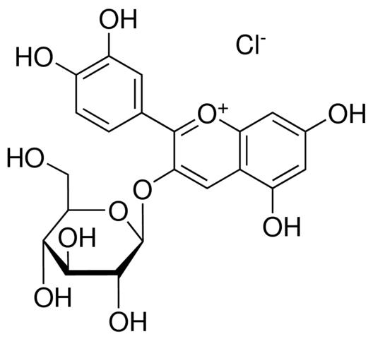 Cyanidin-3-glucoside chloride    >95%