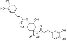 1,5-O-dicaffeoylquinic acid    >98%