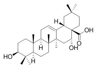 Echinocystic acid       >96%