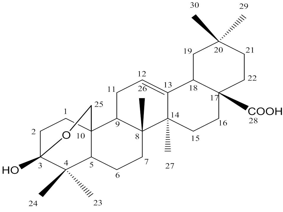 Lantanolic acid       >96%