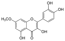 7-Methylquercetin   >97%