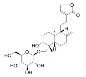 Andropanoside    > 97%