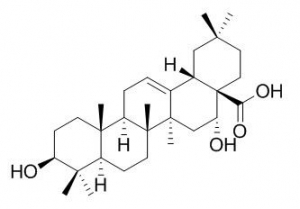 Echinocystic acid         >96%