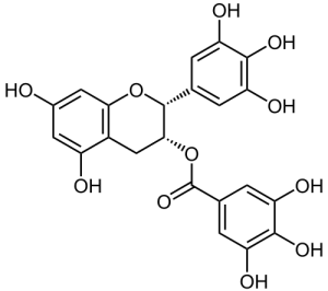 EGCG >98%