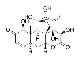 Eurycomanone  > 97%