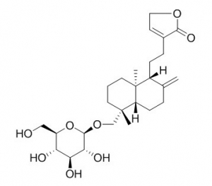 Neoandrographolide   > 96%