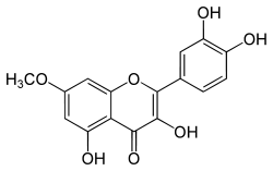 7-Methylquercetin    >97%