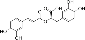 Rosmarinic acid    >98%